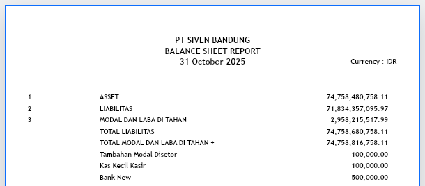 balance-sheet-screenshot-02